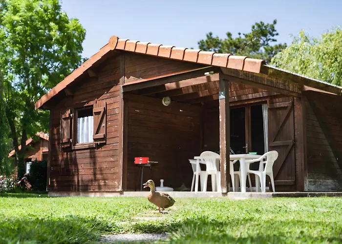 Bois 4 Domaine Les Epinettes Camping Saint-Gervais (Vendee)