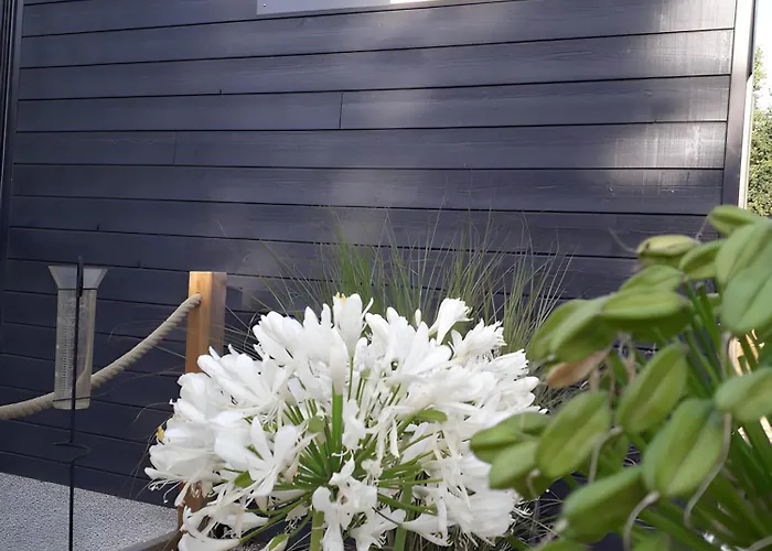 Bois 4 Domaine Les Epinettes