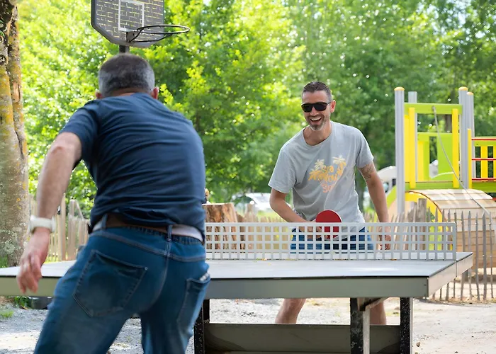 Bois 4 Domaine Les Epinettes * Saint-Gervais (Vendee)