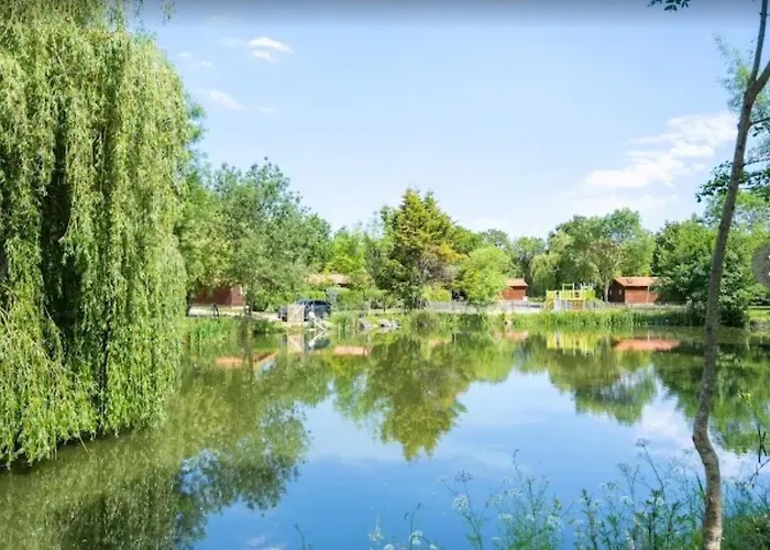 Bois 4 Domaine Les Epinettes * Saint-Gervais (Vendee)